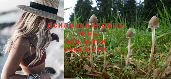 каннабис Абдулино