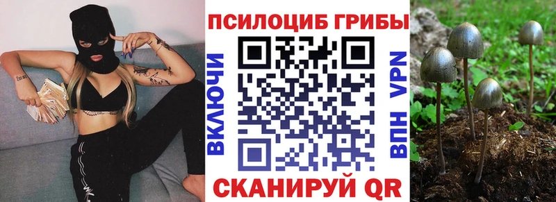 Псилоцибиновые грибы Cubensis  mega ссылки  Нестеровская 